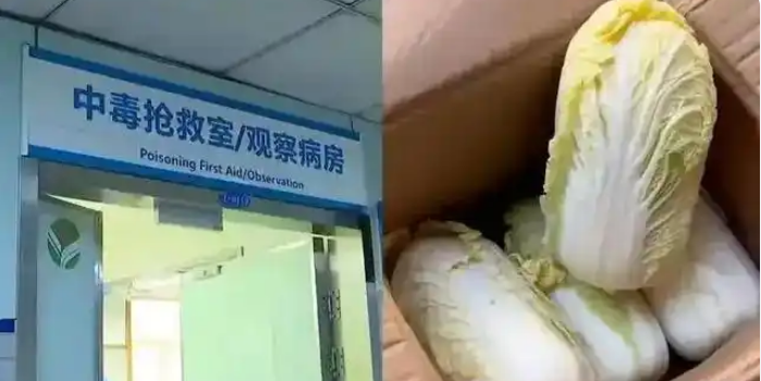 八斤娃娃菜毒倒两人：低价背后的“毒包装”与防水行业“注浆骗局”惊人相似